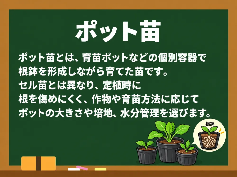 ポット苗