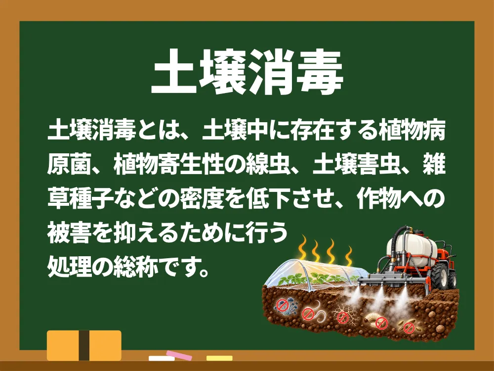 土壌消毒