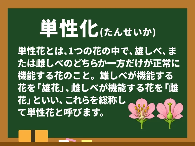 単性花