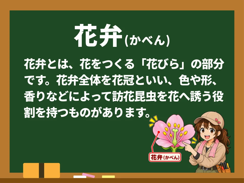 花弁