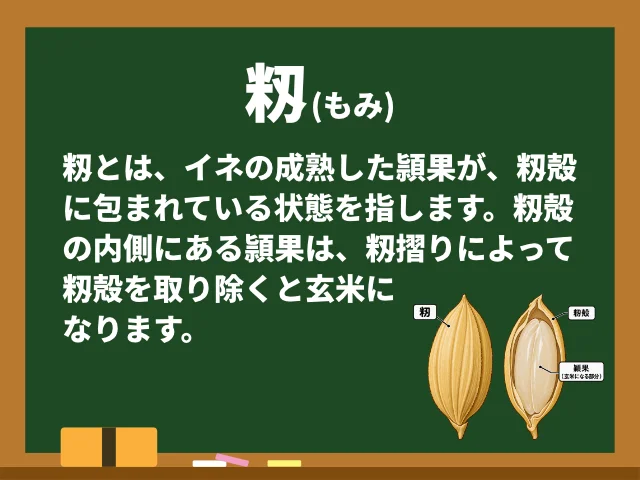 籾