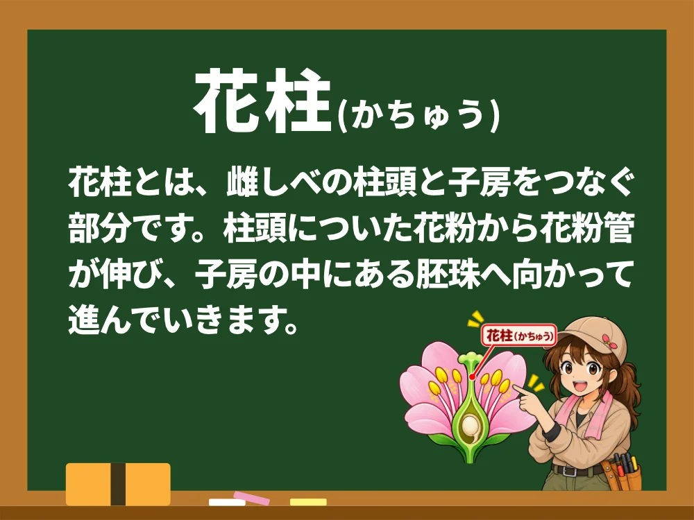 花柱
