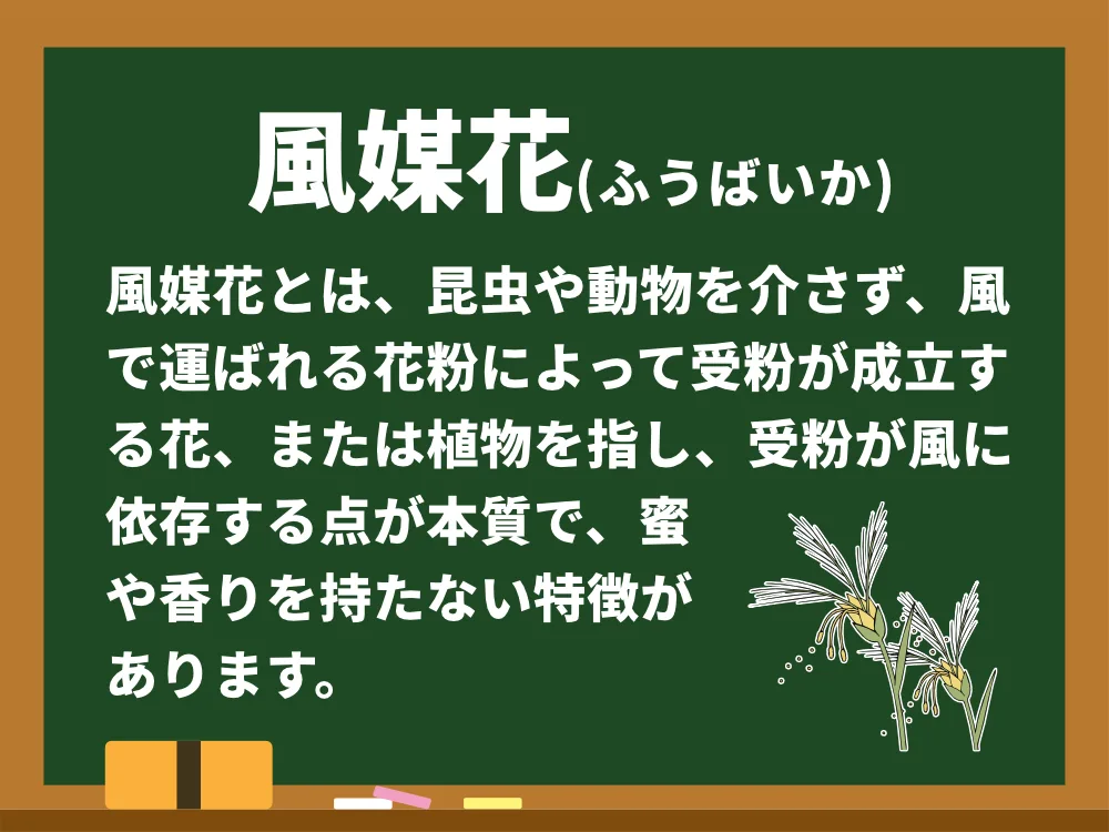 風媒花