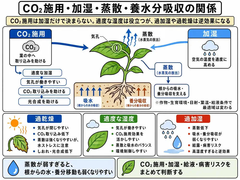 CO₂施用・加湿・蒸散・養水分吸収の関係図-CO2施用と加湿制御では光合成だけでなく蒸散量と養水分吸収を同時に見る必要がある