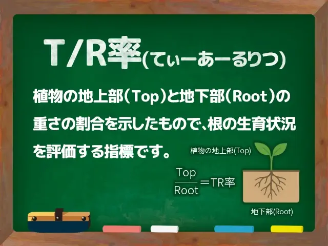 T/R率
