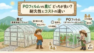 POフィルムvs農ビ どっちが良い？耐久性とコストの違い