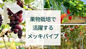 【ブログのご紹介】"果物栽培"でも活躍するメッキパイプ！！その代表的な用途や当社のオススメ製品について解説。