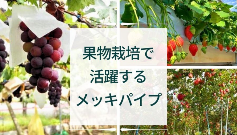 【ブログのご紹介】"果物栽培"でも活躍するメッキパイプ！！その代表的な用途や当社のオススメ製品について解説。
