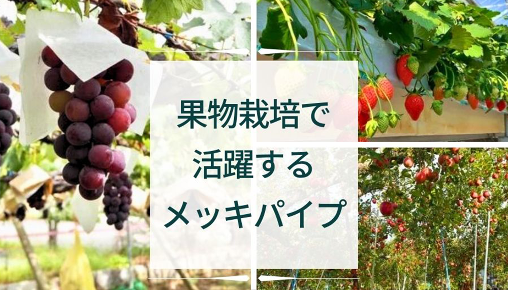【ブログのご紹介】”果物栽培”でも活躍するメッキパイプ！！その代表的な用途や当社のオススメ製品について解説。