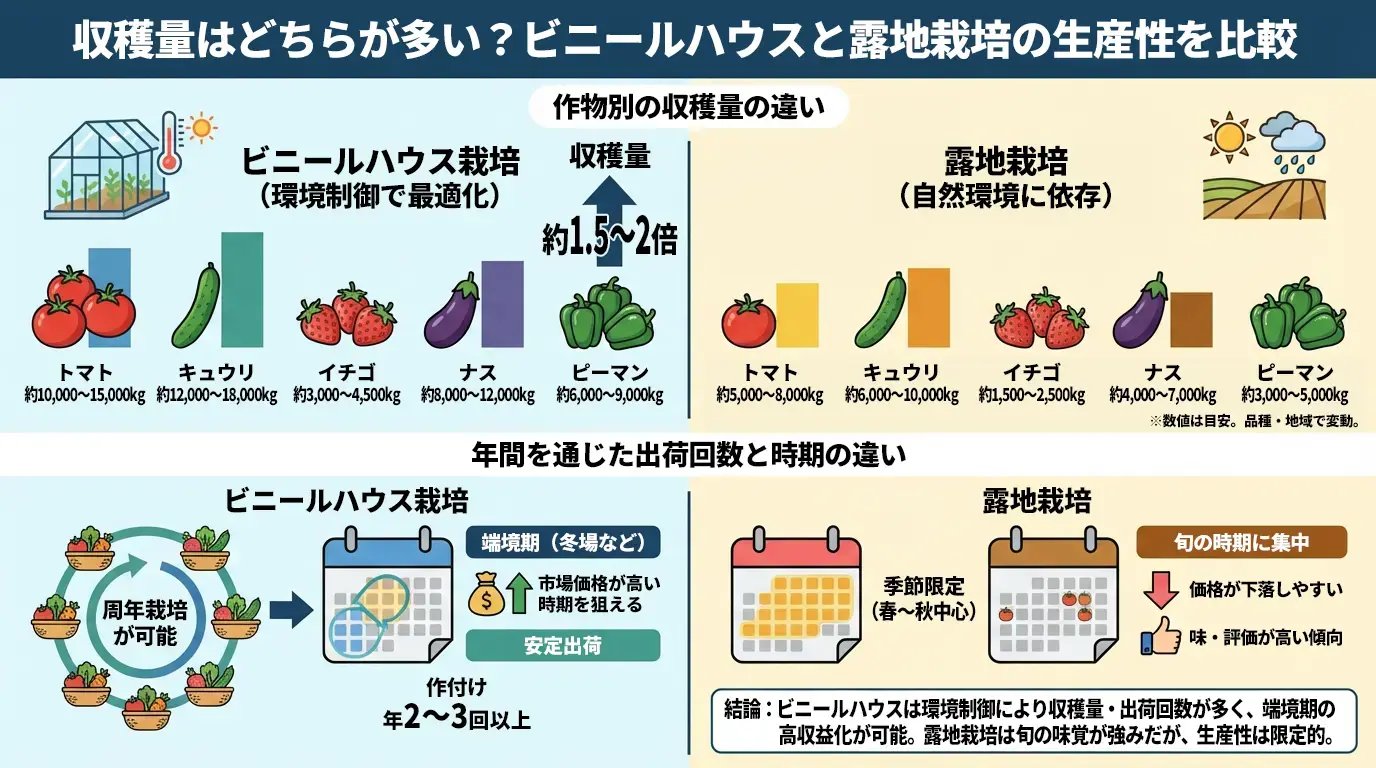 収穫量はどちらが多い?ビニールハウスと露地栽培の生産性を比較