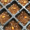 播種･育苗･支柱鉄線