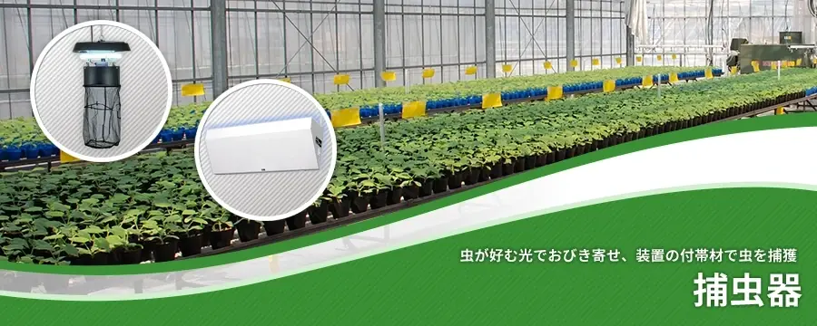 捕虫器