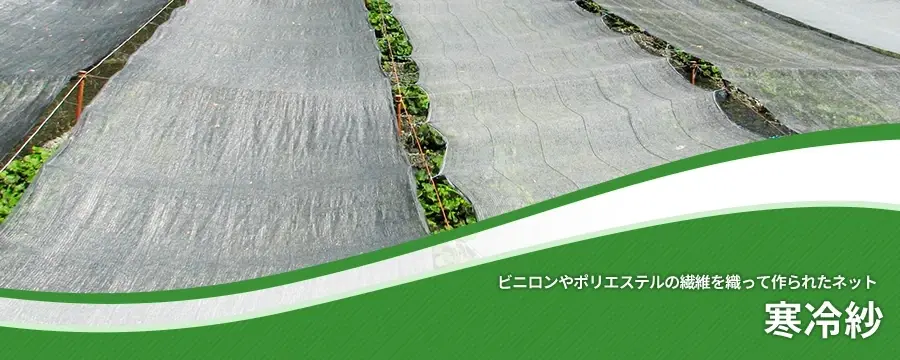 寒冷紗
