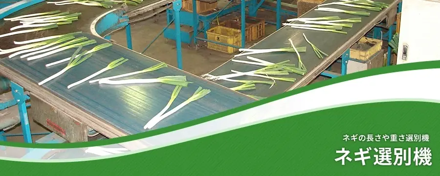 ネギ選別機