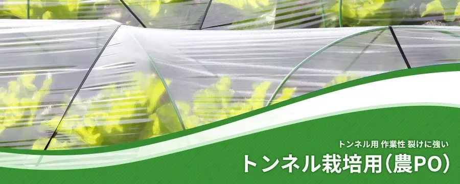 トンネル栽培用（農PO）