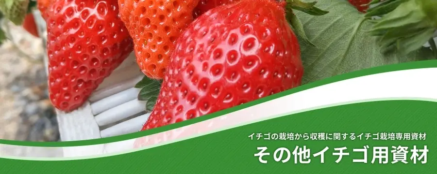 その他イチゴ用資材
