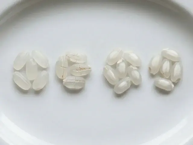 お米の高温登熟障害（整粒、胴割米、中心部白未熟粒、背部白未熟粒）