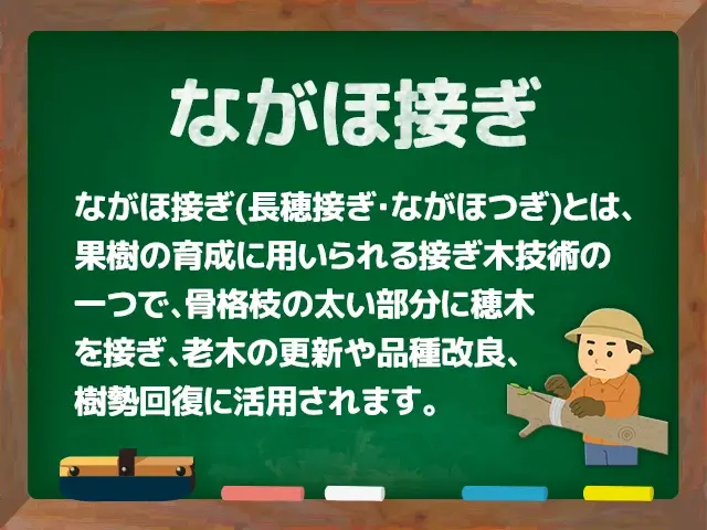 ながほ接ぎ