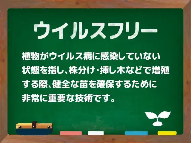 ウイルスフリー