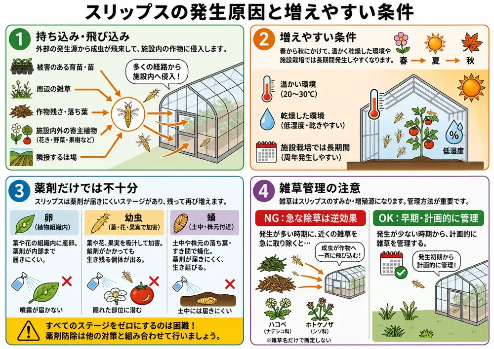 スリップスの発生原因と増えやすい条件