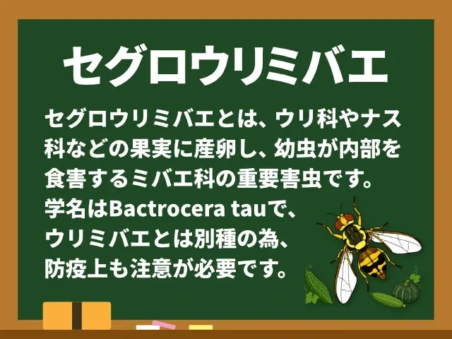 セグロウリミバエ