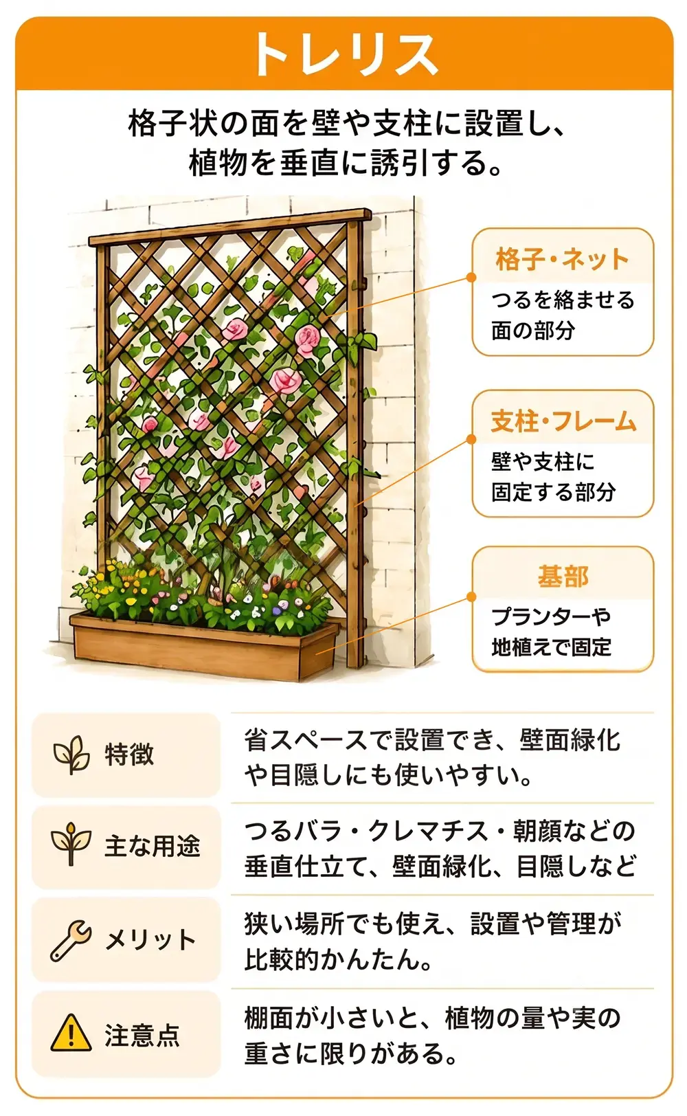 つる性植物を格子状の支持構造に誘引するトレリスのイラスト