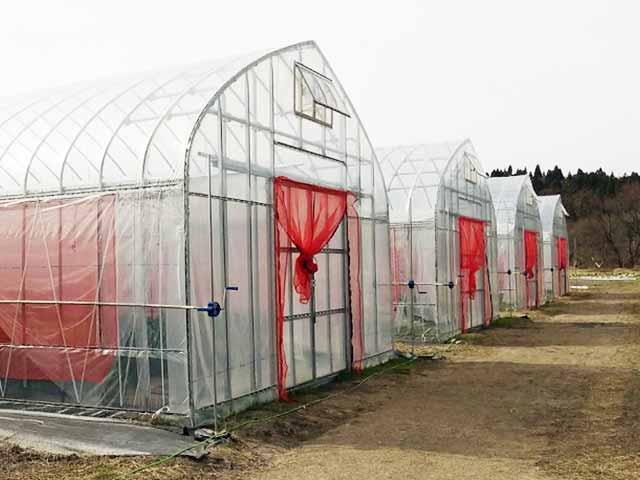ハウスの側面換気部分と妻面入り口に赤い防虫網