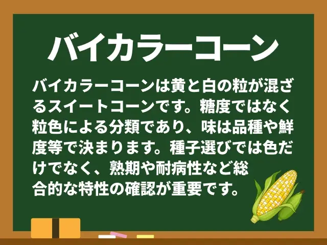 バイカラーコーン