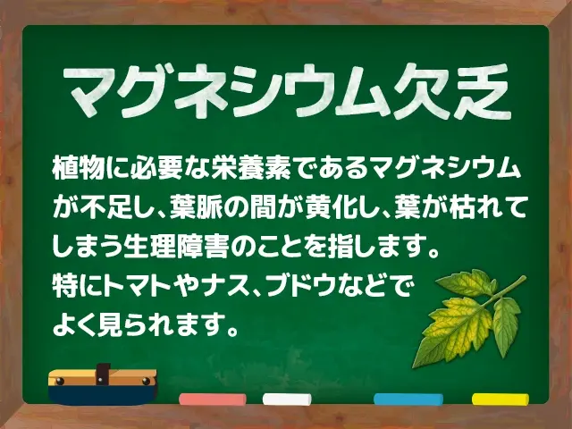 マグネシウム欠乏