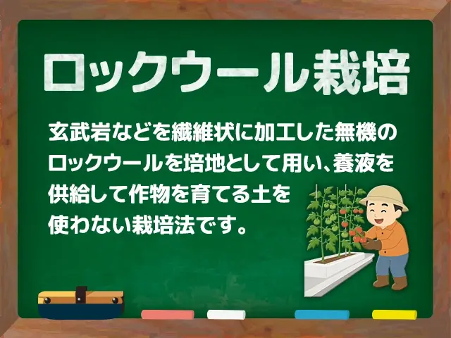 ロックウール栽培
