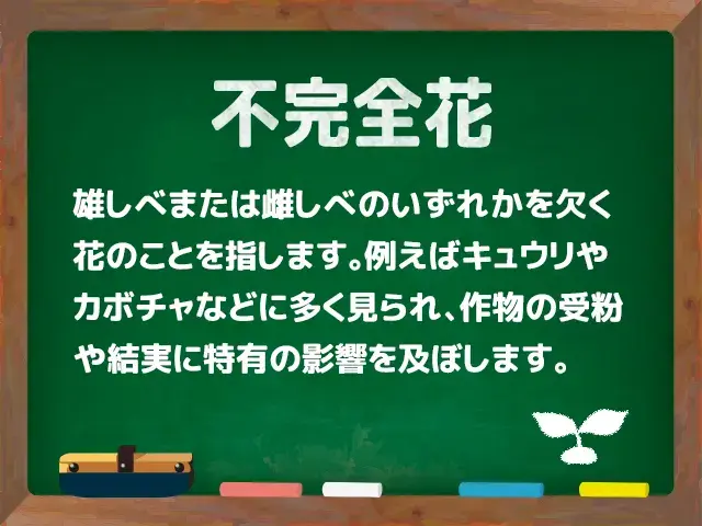 不完全花