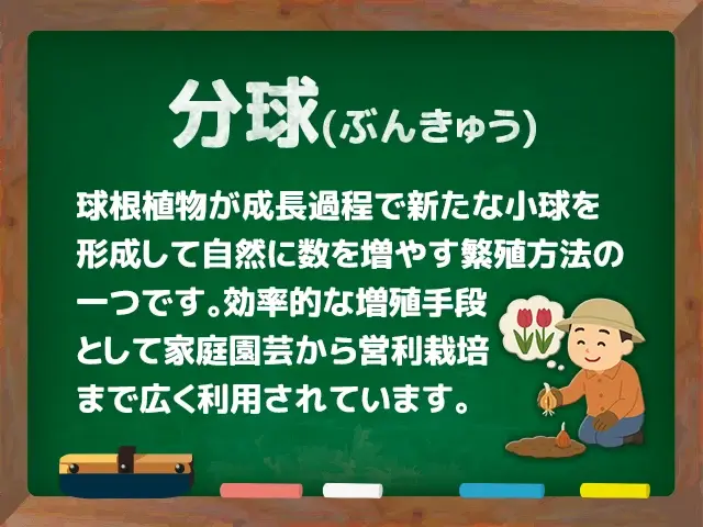 分球