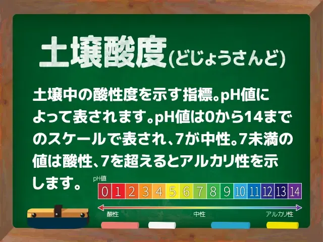土壌酸度