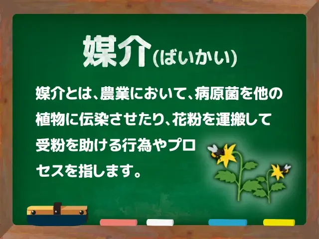 媒介