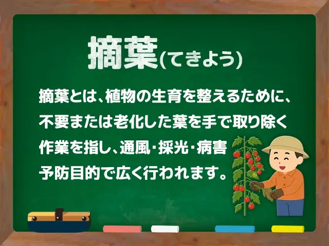 摘葉