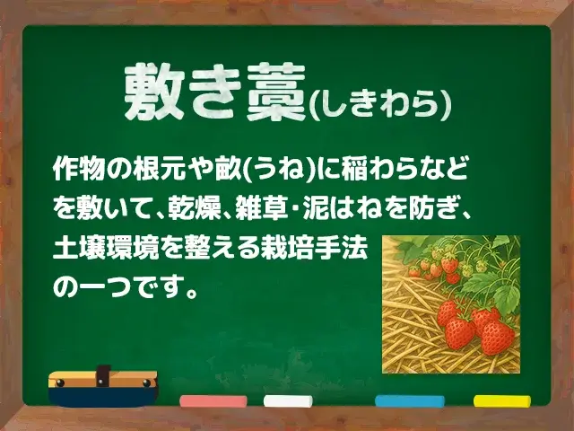 敷き藁