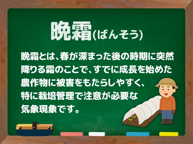 晩霜