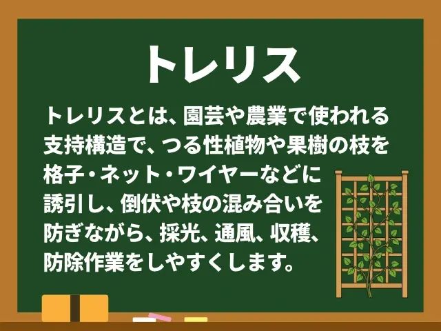 トレリス