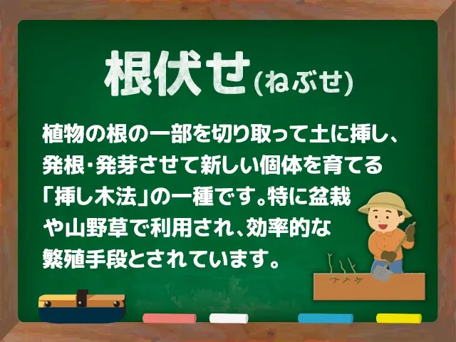根伏せ