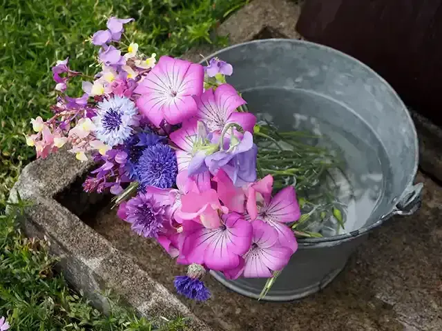 水揚げ