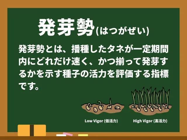 発芽勢