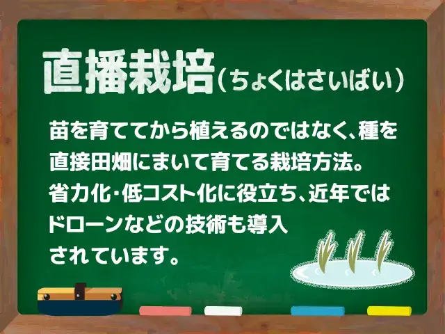 直播栽培