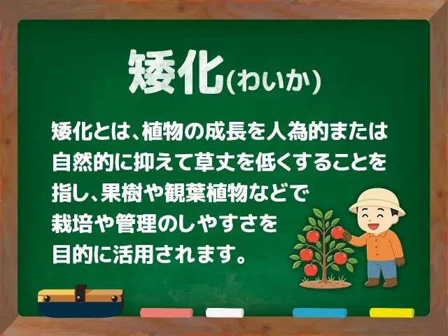 矮化