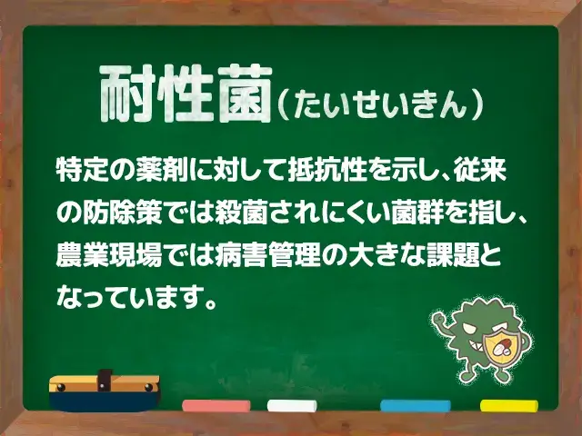 耐性菌