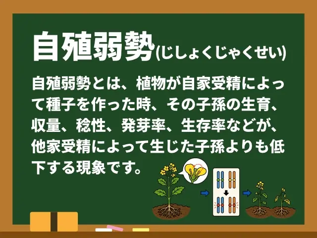 自殖弱勢