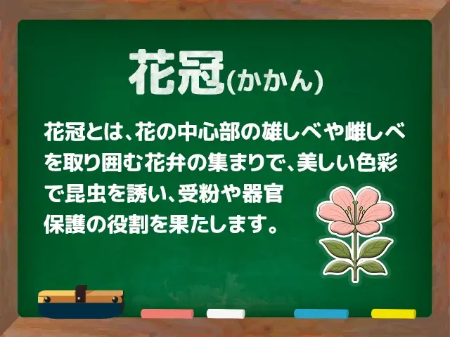 花冠