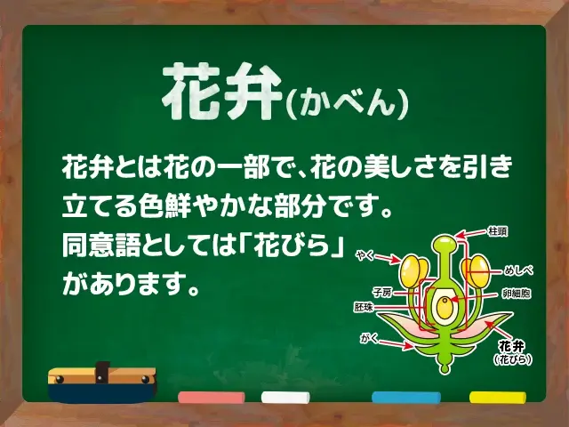 花弁