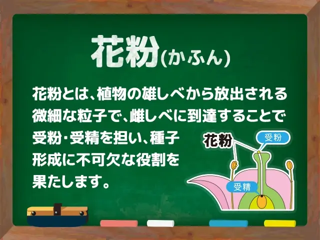 花粉