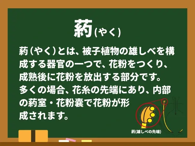 葯