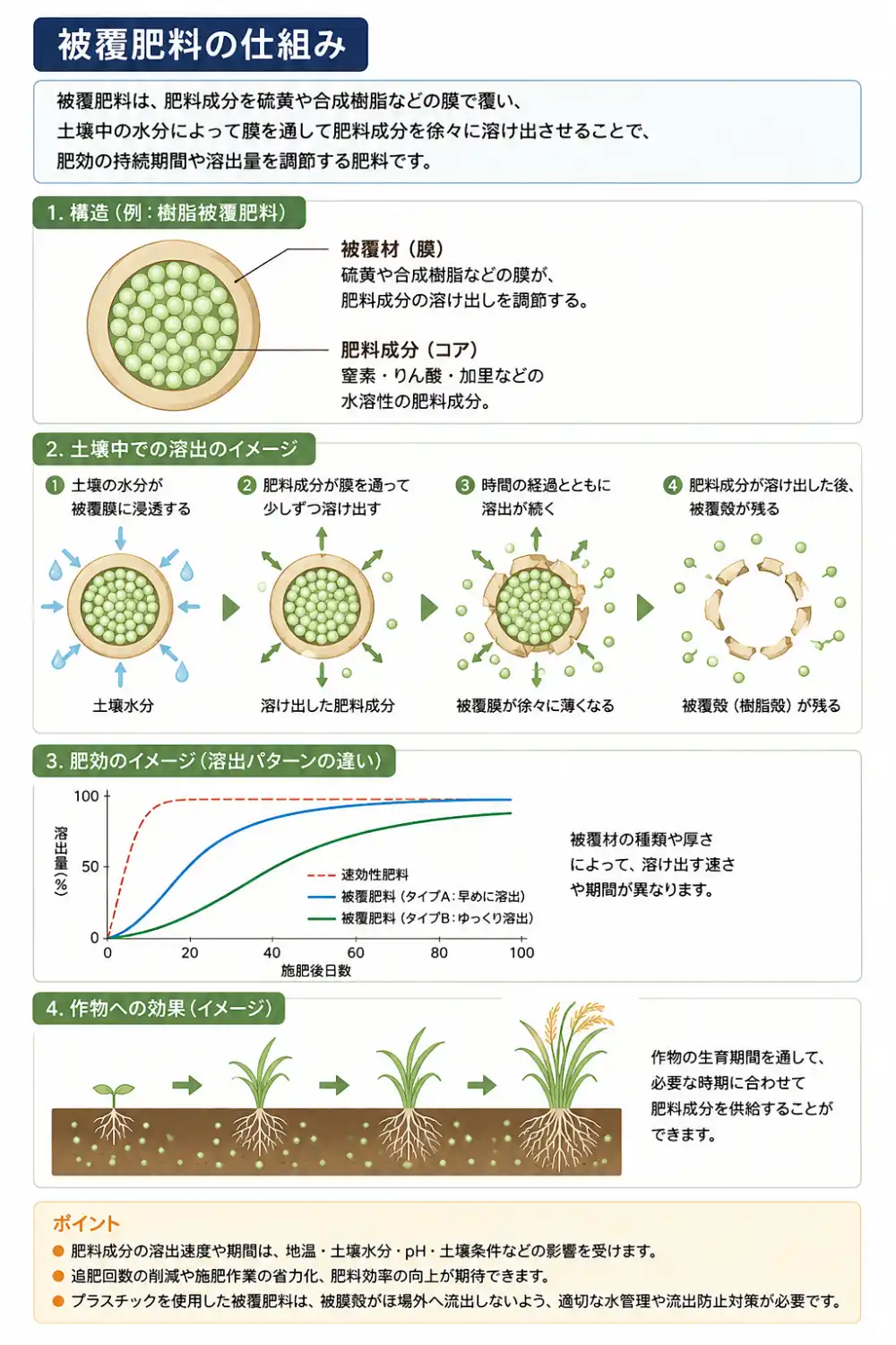 被覆肥料の仕組み